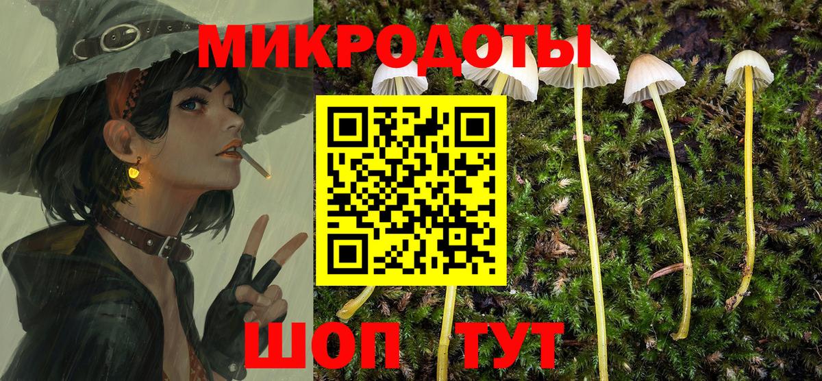 Каменск-Шахтинский  Псилоцибиновые грибы GOLDEN TEACHER  Вход с VPN 